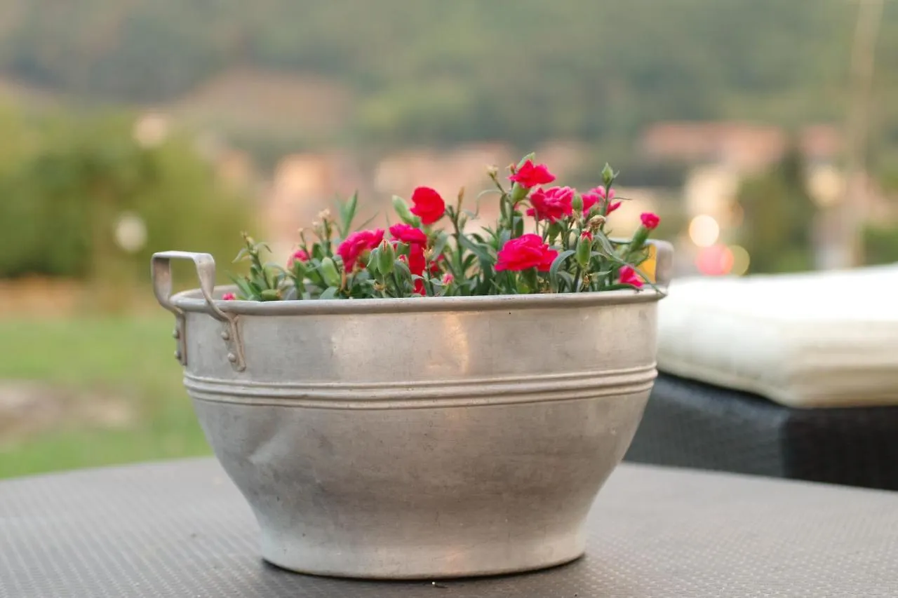 Beb Montefratta Bed and Breakfast Fratta Terme