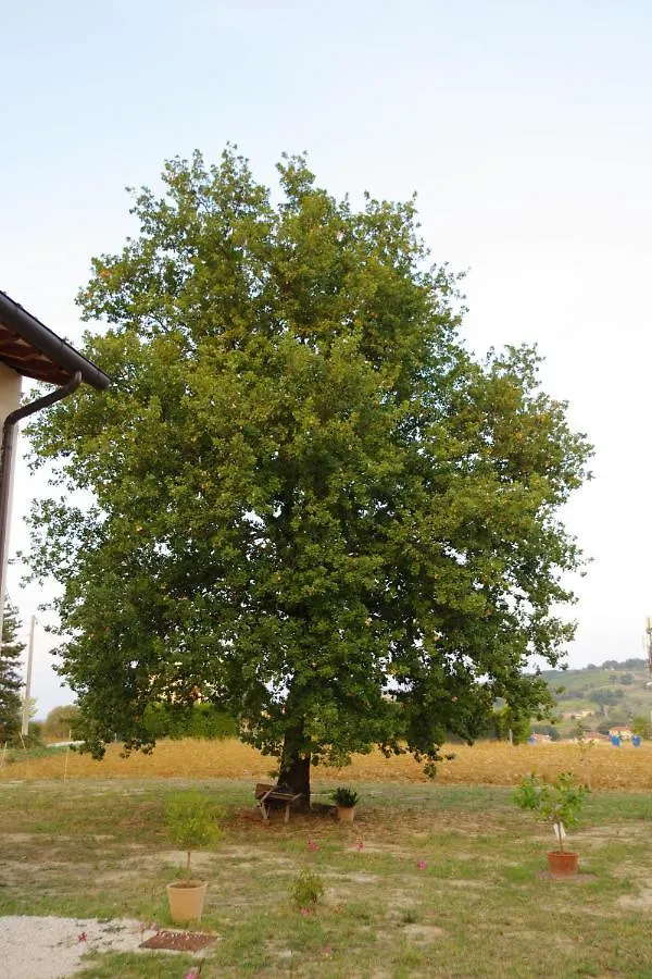 Bed and Breakfast BeB montefratta Fratta Terme 0*,  Italia