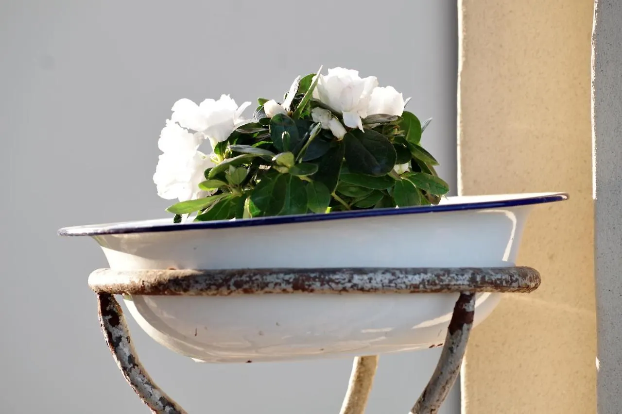 Bed & Breakfast Bed and Breakfast BeB montefratta Fratta Terme Italia