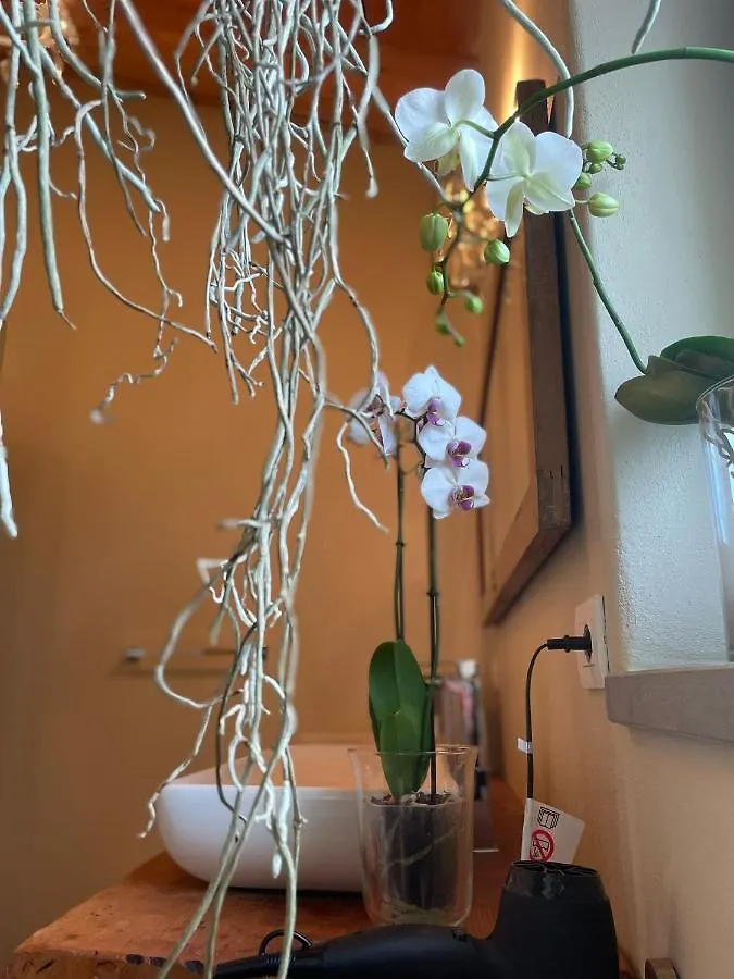 Bed and Breakfast BeB montefratta Fratta Terme