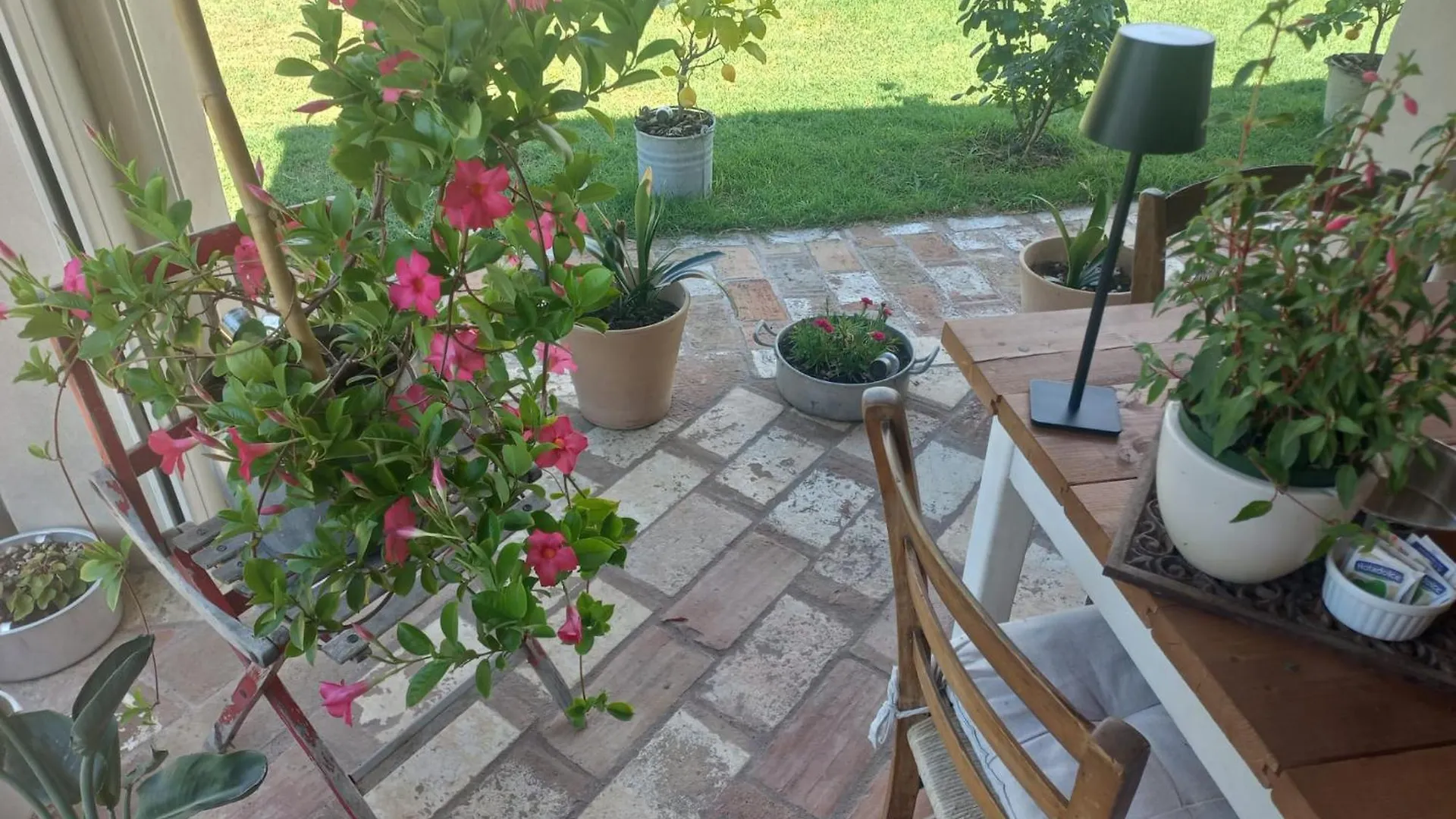 Bed and Breakfast BeB montefratta Fratta Terme