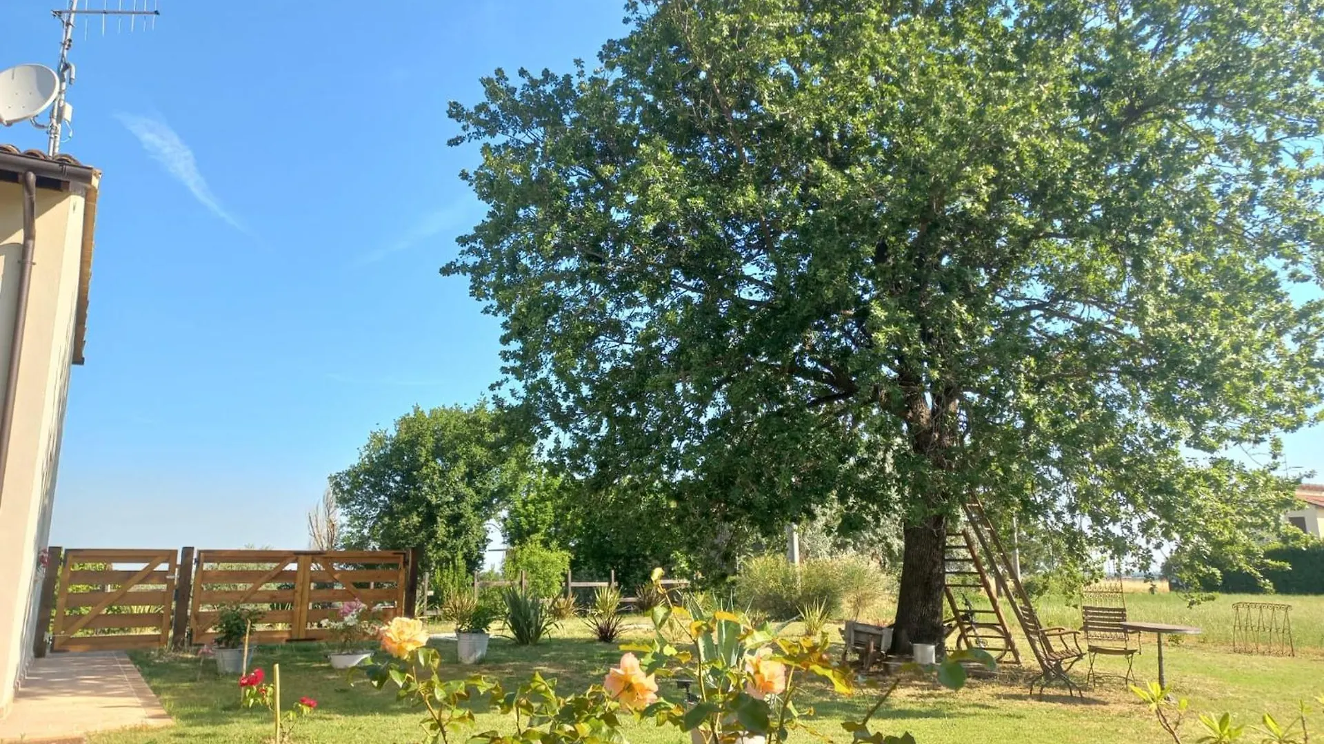 Bed & Breakfast Bed and Breakfast BeB montefratta Fratta Terme