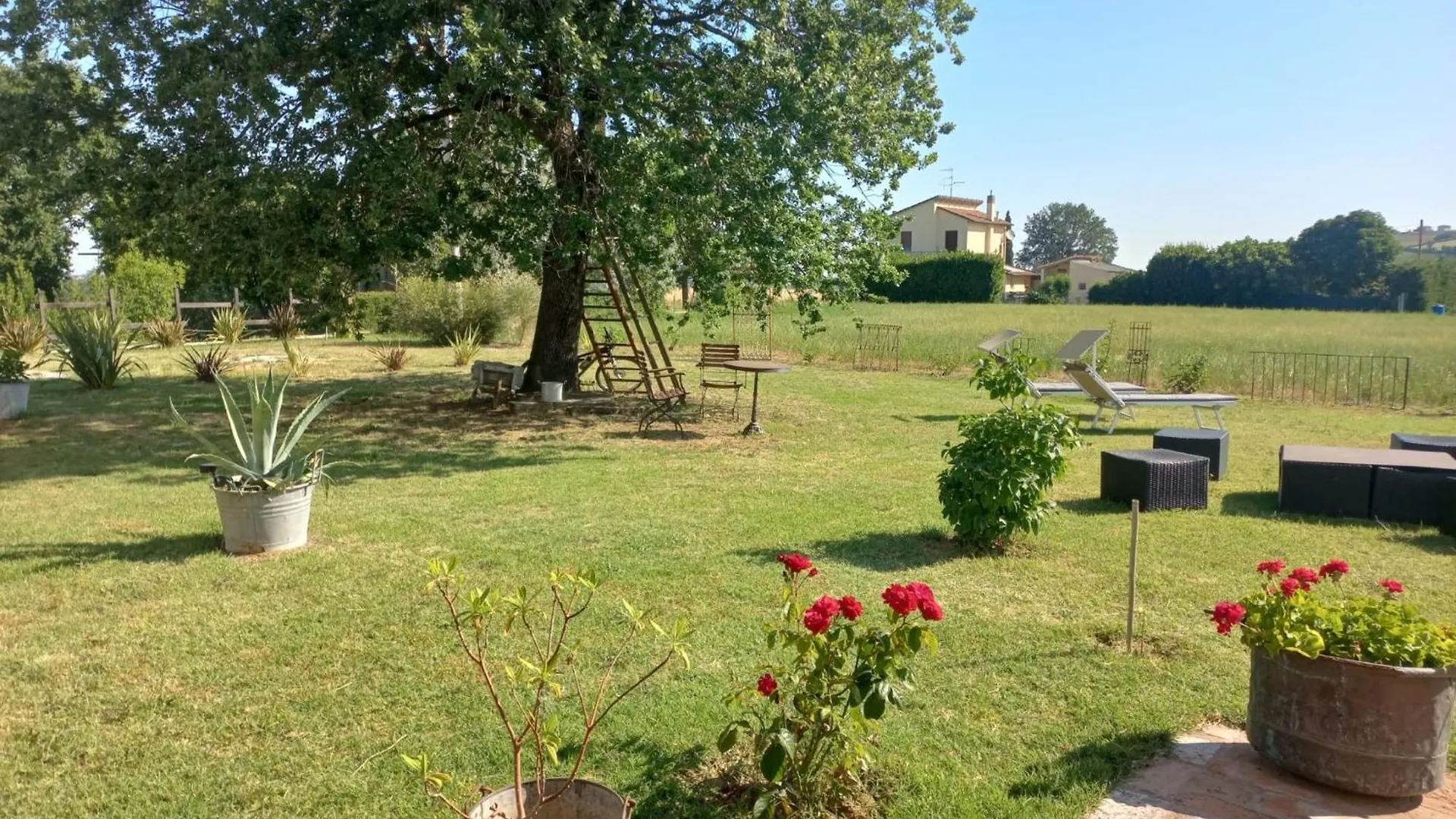 Bed & Breakfast Bed and Breakfast BeB montefratta Fratta Terme Italia